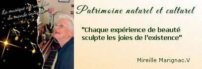 Citation sur l'art et le beau en photographie par Mireille Marignac.V