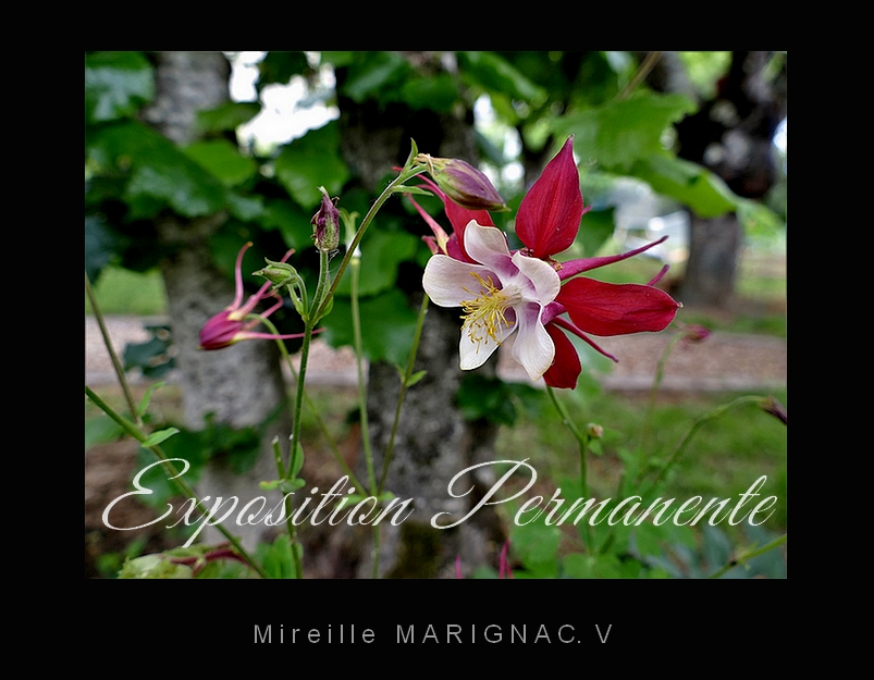 Exposition photographique Mireille Marignac.V