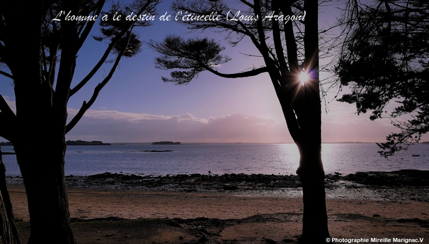 Mireille Marignac.V : Destin et Etincelle